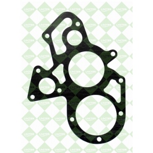 Water pump gasket / 411 CAT MATCV ZACH